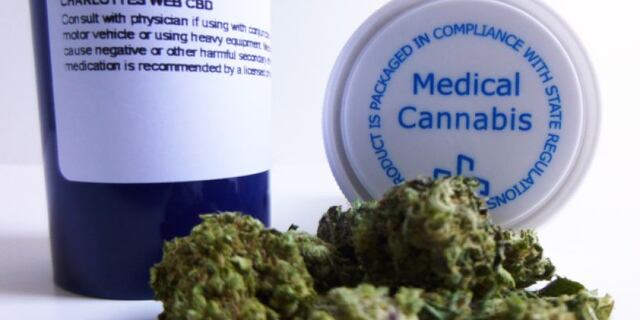 Médicos toman con pinzas uso medicinal de la marihuana