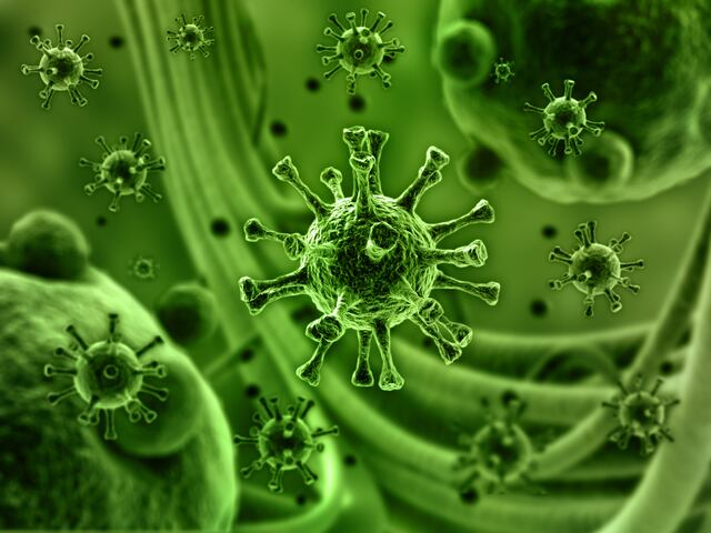 ¿Qué es el virus sincitial respiratorio?