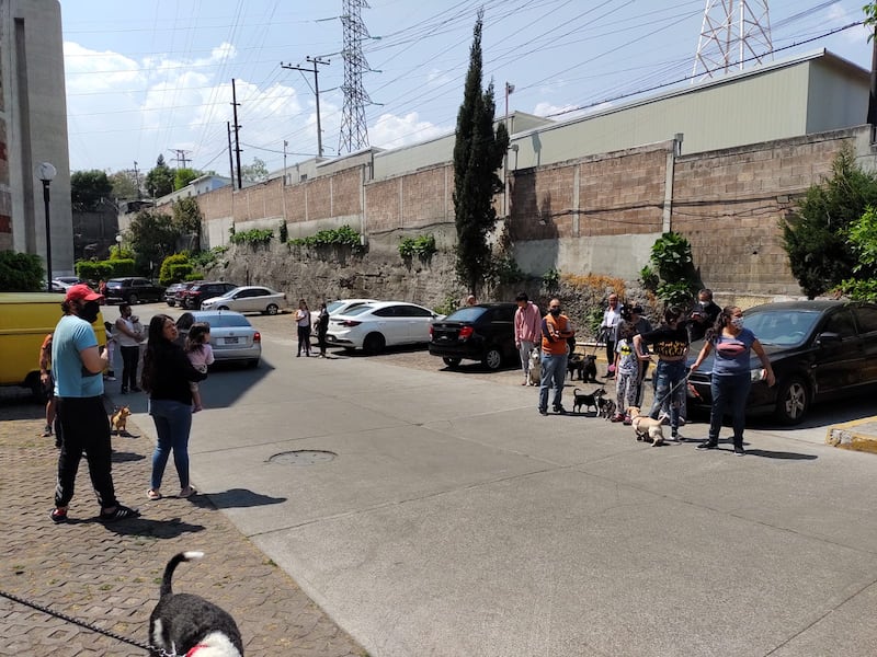 Foto: Diego Rodríguez | Publimetro