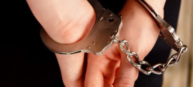 Arrestan a oficial correccional que asesinó a un perro realengo en Guánica