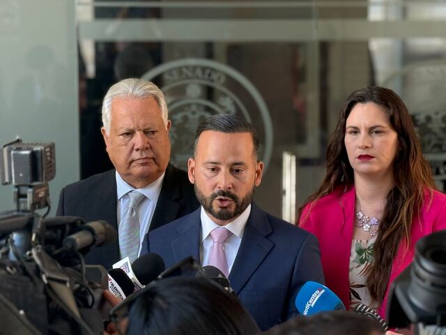 Denuncian que LUMA gastó $12.9 millones en desganche de vegetación en solo 72 millas