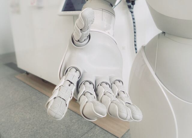 Crean robot que vigila las mascotas cuando están solos