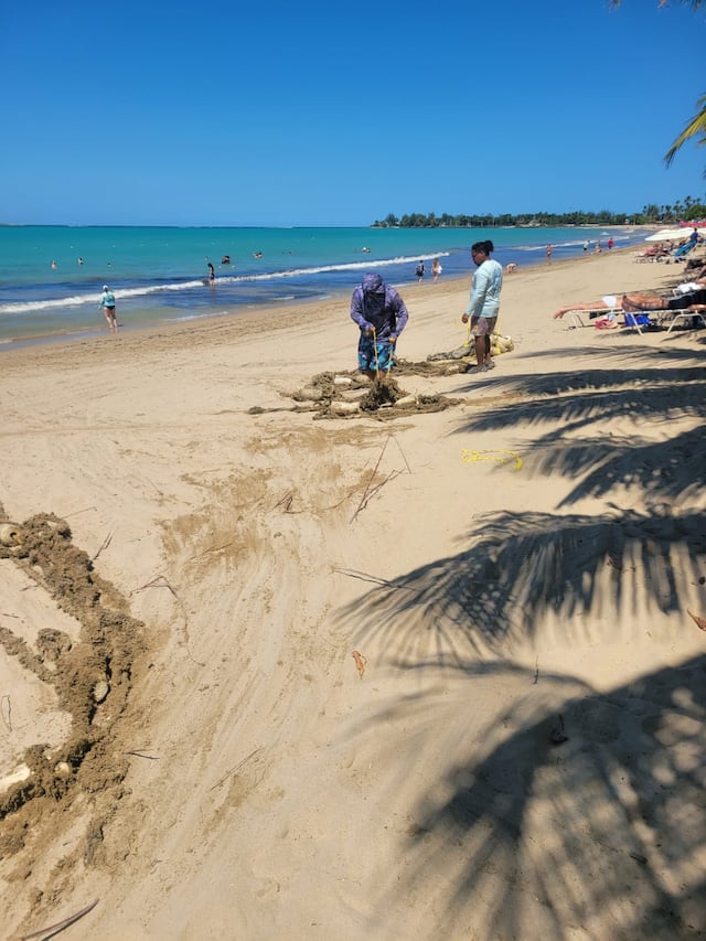 DRNA instala boyas marinas en balnearios de Carolina y Vega Baja