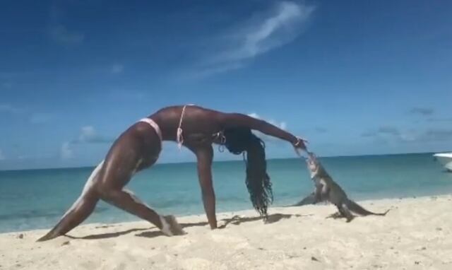 Lagartija muerde a instructora de yoga mientras daba una clase