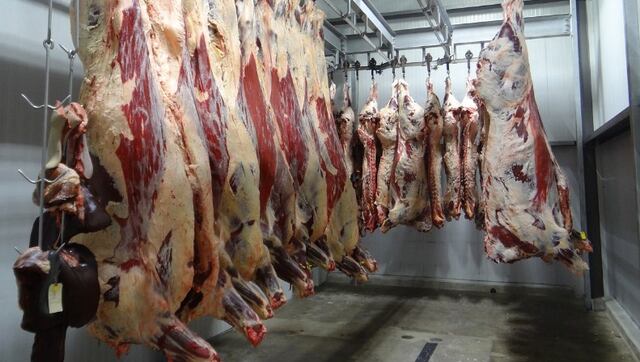 DACO confirma alza de hasta 120 por ciento en el precio de las carnes frescas