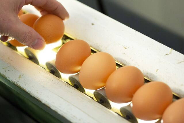 Por esto no se debe guardar huevos en la puerta de la nevera