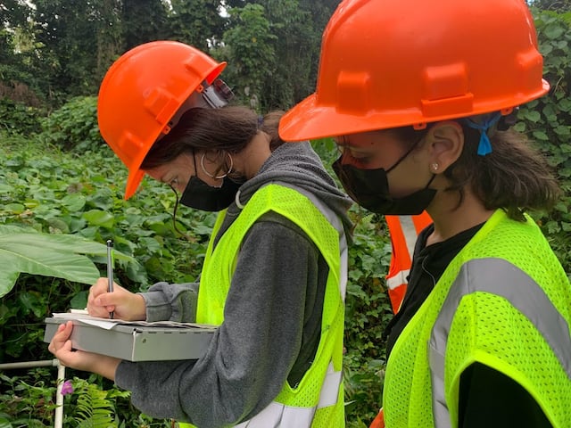 Estudiantes aprenden sobre el bosque y su manejo en El Yunque