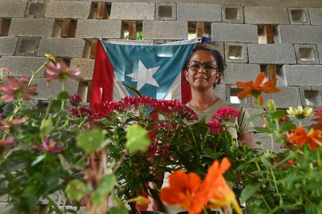 Flores comestibles: Coloridas y funcionales en la cocina