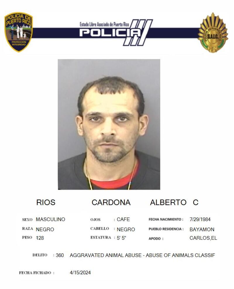(Policía)