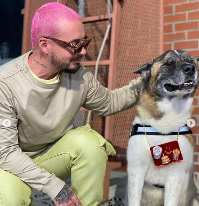 J Balvin lamenta la muerte de Enzo: “Llegó a mi vida a ponerle color”