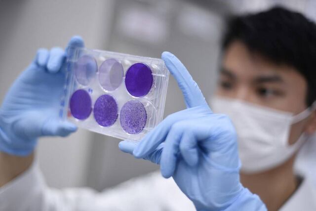 Se intensifica la carrera mundial para encontrar vacuna contra el coronavirus