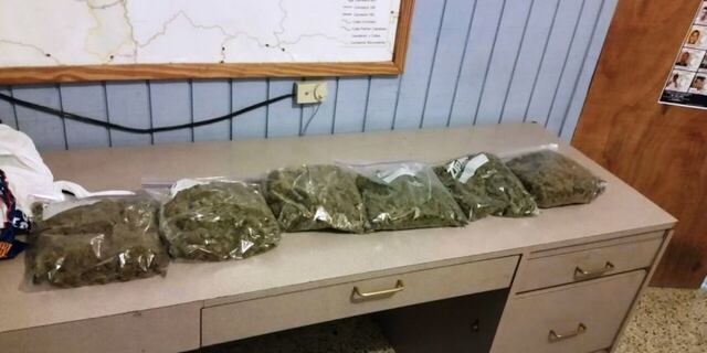 Incautan seis libras de marihuana en intervención de tránsito en Manatí