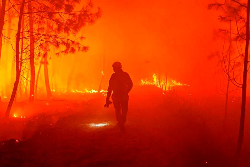 Ola de calor provoca incendio en Francia.