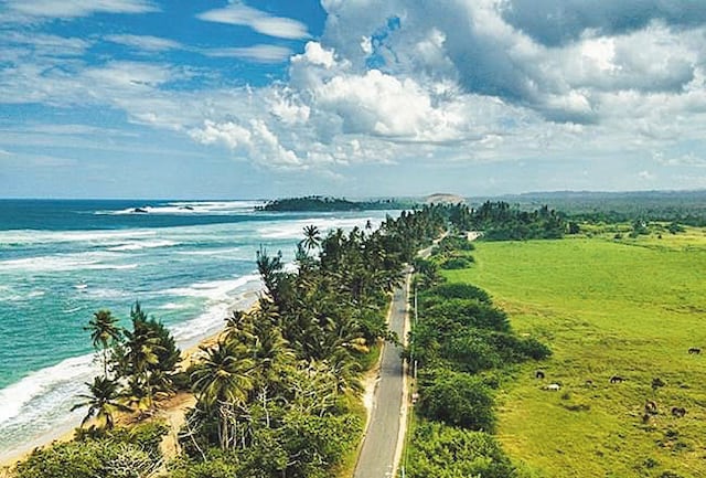Afirman Puerto Rico y Estados Unidos están en retroceso ambiental
