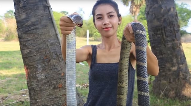 Mujer desollaba y comía animales en peligro de extinción para publicar videos en YouTube