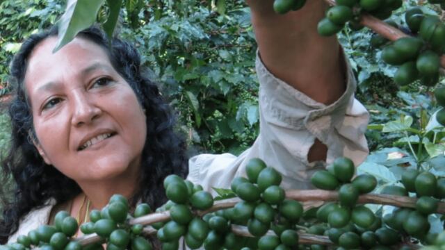 Sagrado confiere doctorado honoris causa a la científica puertorriqueña Ivette Perfecto Rivera