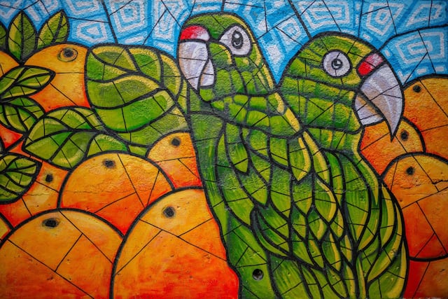 Buscan promover el arte local con el programa ‘Murales de Puerto Rico’