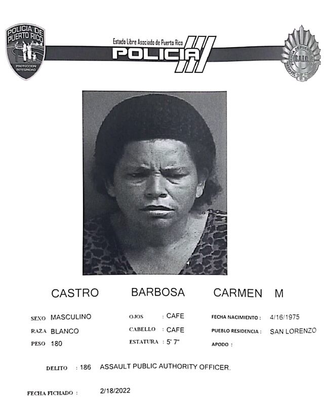 Arrestan a mujer que supuestamente amenazó con machete a policías