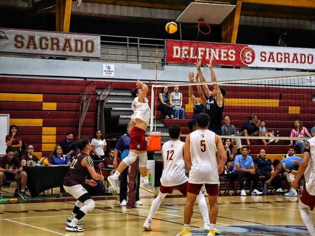 Arrancan las semifinales de la LAI con triunfos para Sagrado, UAGM y Mayagüez