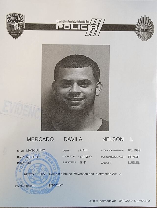 Encarcelan hombre por caso de violencia doméstica en Ponce