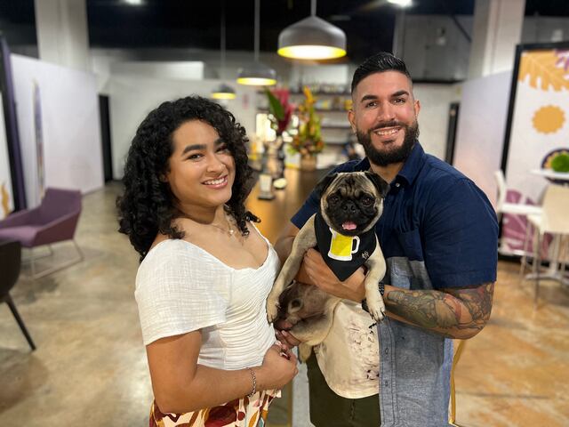 ¡Sensacional! Boricuas crean “cervecitas” saludables para perros