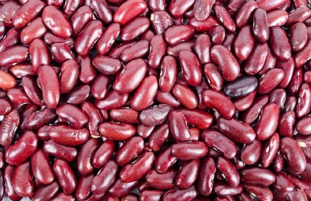 Salud desmiente retiro de habichuelas rojas