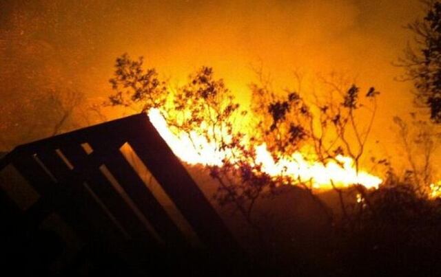 Fuego afecta 400 cuerdas de bosque en Adjuntas