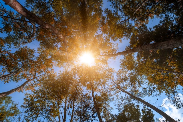 Otro día caluroso con índices de hasta 104 °F