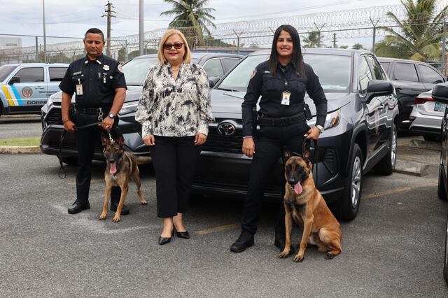 Corrección entrega 12 canes a Unidad Canina para detección contrabando en las cárceles