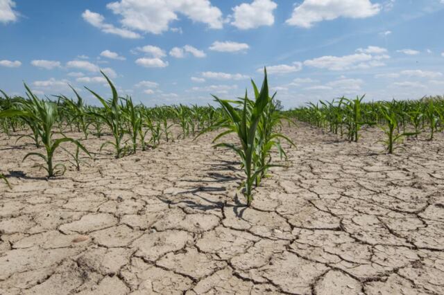 Esta semana la AAA anunciará plan de racionamiento de agua