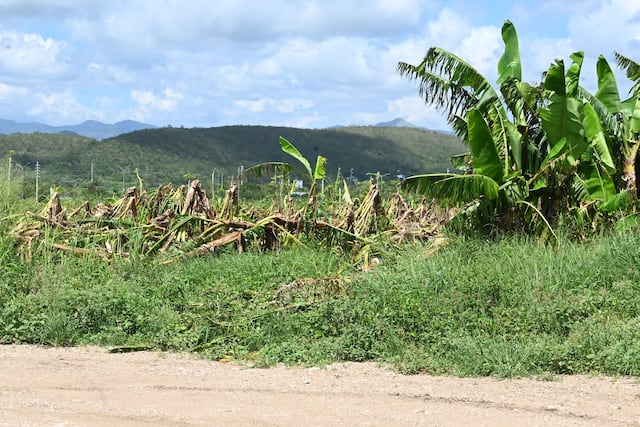 Cierran permanentemente últimos cuatro centros de recuperación por desastre de FEMA