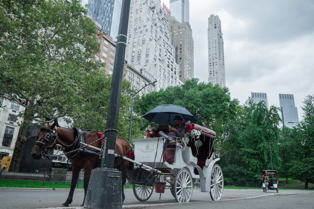 A votación la prohibición de carruajes de caballos en Nueva York