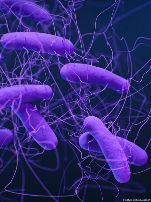 Detectan gen que hace a bacterias casi imposibles de tratar