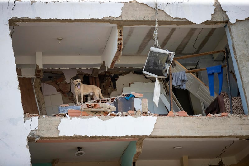 Detalle de un edificio derruido en Catia la Mar, Venezuela, mientras continúa la búsqueda entre los escombros de los edificios, este viernes.