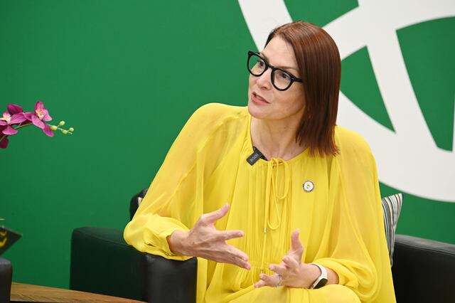Ferraiuoli se mantiene en el Distrito de Convenciones tras retiro como secretaria de Estado
