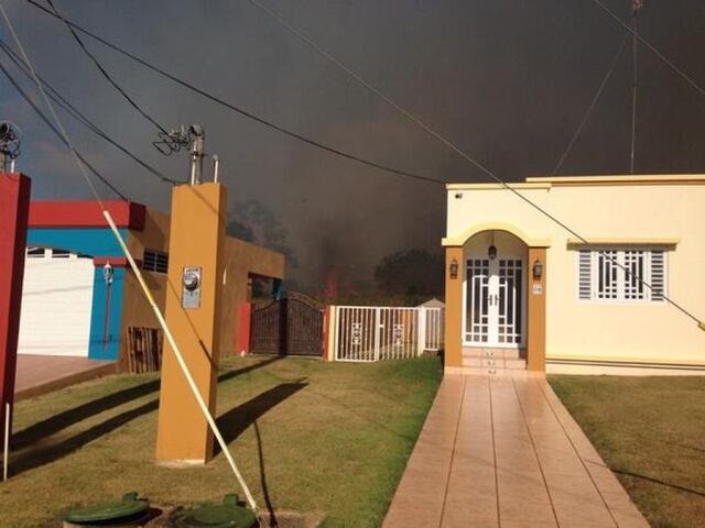 Controlan fuego forestal en Arecibo