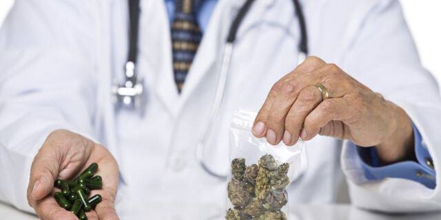 Crece en el sur la industria de cannabis medicinal
