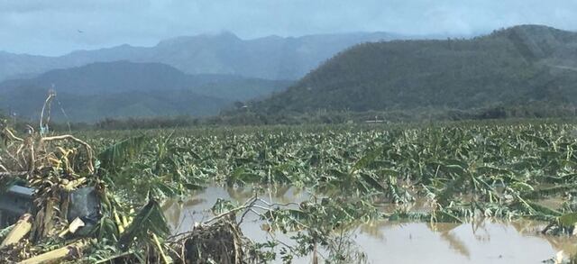 Agricultura urge asegurar fincas antes de la temporada de huracanes