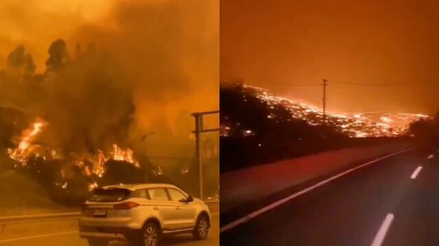 Chile se declara en estado de catástrofe: Incendios dejaron al menos 19 muertos y 20,000 personas evacuadas