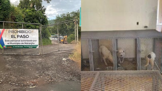 Denuncian operación de perrera ilegal en instalaciones municipales de Naranjito