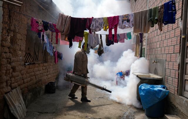 Casos de dengue se han decuplicado en el mundo