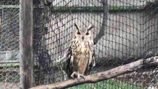 Este es el santuario de aves más grande de África