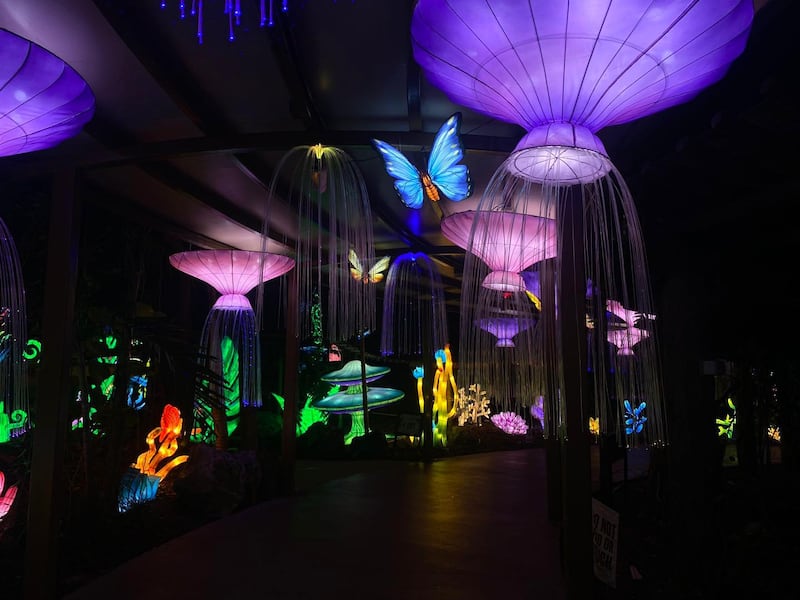 Show de luces en el Parque de las Ciencias by Toroverde powered by Claro en Bayamón