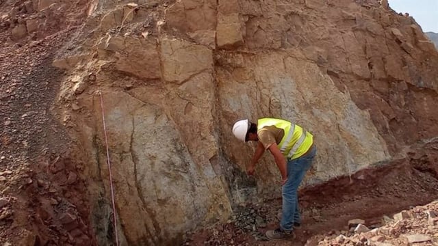 Fósiles de especies extintas anteriores a los dinosaurios son encontrados en España