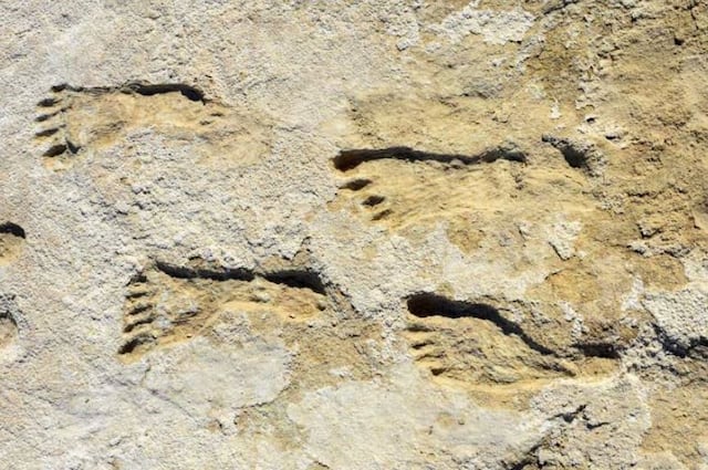 Estudio confirma que los humanos llegaron a América mucho antes de lo pensado