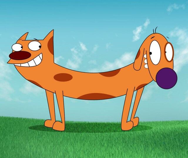 Ciencia confirma que los perros son más inteligentes que los gatos