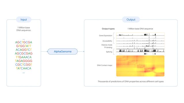 Llega AlphaGenome, el secuenciador de ADN más preciso descubierto hasta el momento