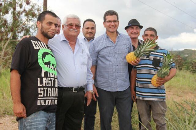 Pierluisi decreta que el PNP vote en contra de cualquier medida que establezca el IVA