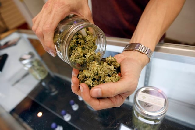 Salud refiere a Justicia y FBI a contratista del cannabis medicinal por posible conflicto de interés