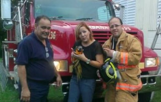 Bomberos rescatan a "Chifo" el guacamayo